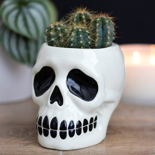 White Ceramic Skull Plant Pot
